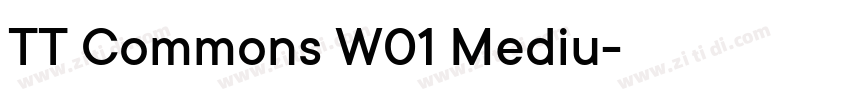 TT Commons W01 Mediu字体转换